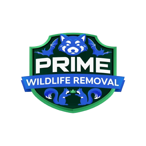 Wildlife Removal Erie